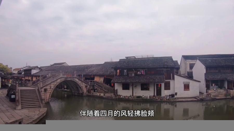精灵的冒险之旅